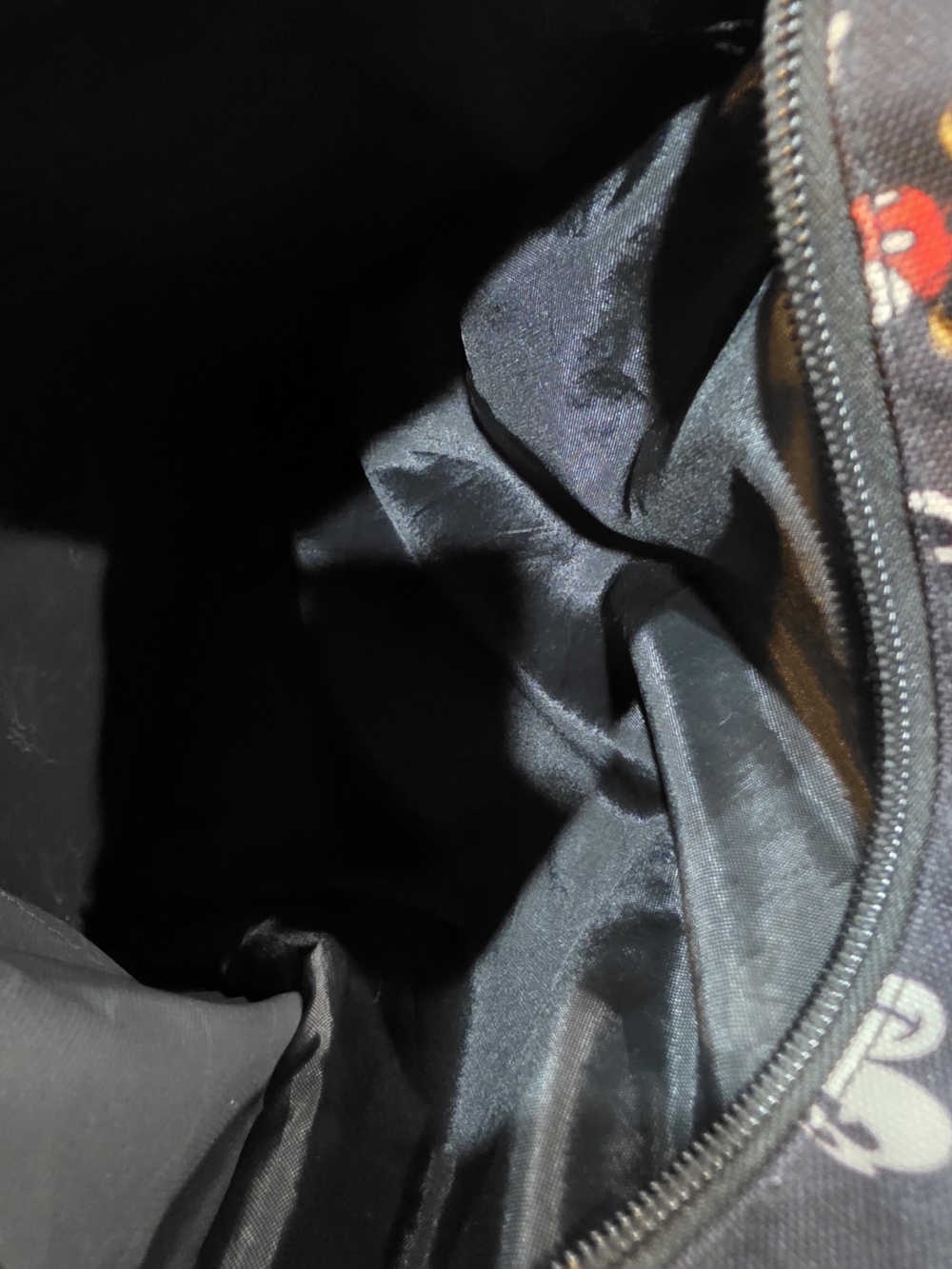 Disneyland Resort Black Mickey Pattern Backpack - Picture 10 of 14